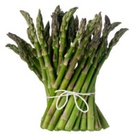 ������ �����: ������